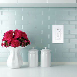 LD -U001 4.2A Smart High Speed USB Charger Outlet 2 cổng USB với 2 tấm tường