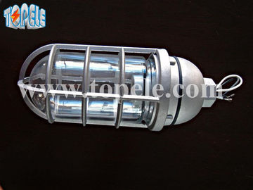 100W 220V màu xám màu nâu IP65 đèn chống hơi chết - đúc nhôm